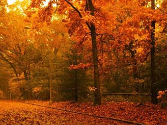 小學(xué)三年級作文《猜猜他是誰》300字